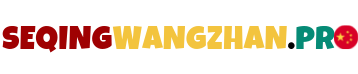 seqingwangzhan.pro logo